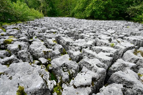 Lapiaz de Mignovillars (Jura) - Dalle de lapiaz avec blocs séparés par des fractures karstifiées  (HY-24-0231)