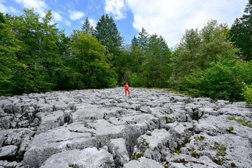 Lapiaz de Mignovillars (Jura) - Vue générale du lapiaz avec personnage et forêt en fond(HY-24-0223)