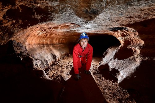 Grotte de Saint-Marcel d'Ardèche (réseau I) - Ado à quatre pattes dans une petite galerie elliptique (SP-24-2156)