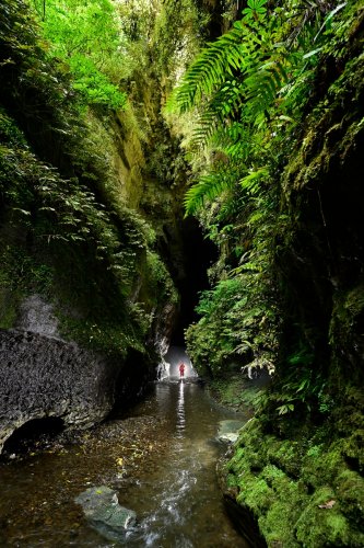 Glowworm  cave (région de Waitomo, Nouvelle Zélande) - Entrée de la cavité vue de l'extérieur avec personnage contre jour en fond dans la rivière (SP-24-2661)