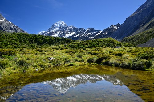 Mont Cook (Nouvelle-Zélande, Ile du sud) -  Face est se reflétant dans une mare de Hooker Valley(VO-24-1648)