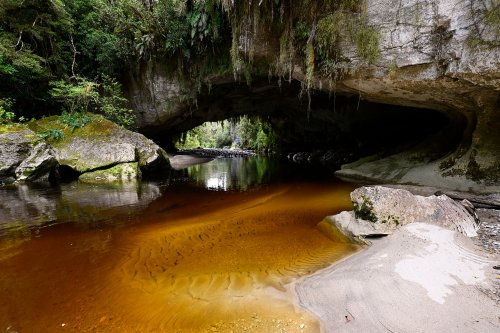 Karamea (Nouvelle-Zélande, Ile du sud) - Moria Gate Arch dans Oparara Basin : vue de l'extérieur.(VO-24-1398)