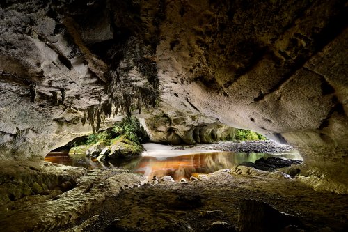 Karamea (Nouvelle-Zélande, Ile du sud) - Moria Gate Arch dans Oparara Basin vue de l'intérieur.(VO-24-1373)