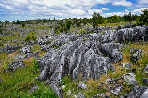 Upper Takaka (Nouvelle-Zélande, Ile du sud) -  Affleurement de calcaires karstifiés(VO-24-1335)