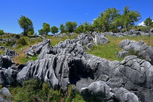 Upper Takaka (Nouvelle-Zélande, Ile du sud) -  Affleurement de calcaires karstifiés(VO-24-1334)