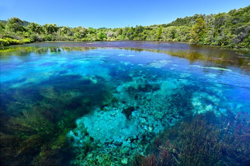 Source de Waikoropupu (Nouvelle-Zélande, Ile du sud) - Vue générale de la source karstique.(VO-24-1295)