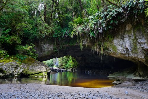Karamea (Nouvelle-Zélande, Ile du sud) - Moria Gate Arch dans Oparara Basin : vue de l'extérieur (vue d'ensemble)(VO-24-1407.jpg)