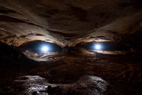 Grotte de Saint-Marcel d'Ardèche (Ardèche) - Réseau I : galerie des boas avec deux flashs en contre jour (yeux) (SP-25-0001)