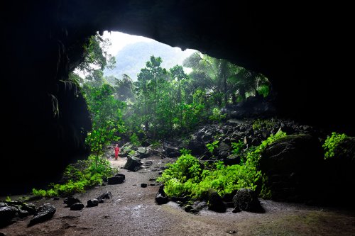 Hang Tien I cave (Tan Hoa, Vietnam) - Entrée supérieure avec végétation(SP-25-0179)