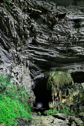 Hang Tien I cave (Tan Hoa, Vietnam) - Porche d'entrée de la grotte avec  parois recouvertes de végétation.(SP-25-0161)