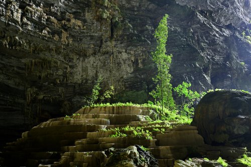 Hang Tien I cave (Tan Hoa, Vietnam) - Gours recouverts de végétation dans le porche d'entrée.(SP-25-0158)
