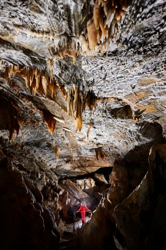 Grotte de la Fileuse de verre ou de la Devèze (Courniou, Hérault) - Plafond concrétionné de  la salle de Rouville avec personnage en fond (SP-25-0602)