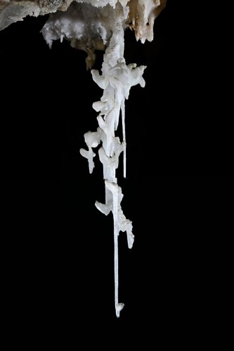 Grotte de la Fileuse de verre ou de la Devèze (Courniou, Hérault) - Stalactite excentrique au plafond de la salle Milhaud(SP-25-0610)