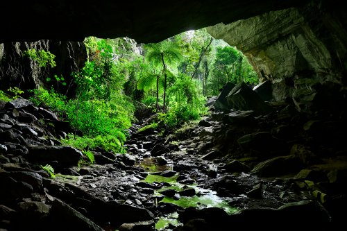 Caverna da Laje Branca (Sao Paulo, Brésil) - Entrée de la grotte vue de l'intérieur (sans personnage). (SP-25-2319)