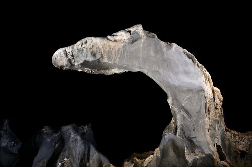 Caverna de Santana (Sao Paulo, Brésil) - "La tête de cheval".(SP-25-2095)