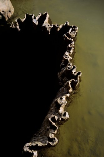 Caverna de Santana (Sao Paulo, Brésil) - Détail d'un rebord  de gour festonné (SP-25-2048)