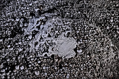 Lapa Sao Bernardo (Goias, Brésil) - Sol couvert de perles des cavernes (vu de haut).(SP-25-1737)