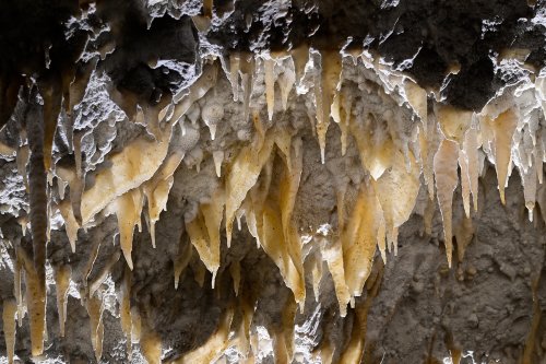 Caverna Terciopelo ( Guanacaste, Costa Rica) - Stalactites et petites draperies blanches au plafond de la salle principale(SP-25-2532)