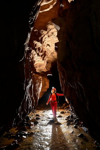 Caverna de Venado (Alajuela, Costa Rica) - Spéléo de face en contre-jour regardant une chauve souris en vol dans une galerie verticale(SP-25-2605)