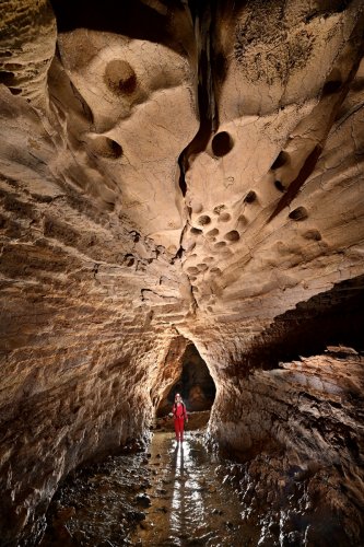 Caverna de Venado (Alajuela, Costa Rica) - Galerie avec "bell holes" au plafond(SP-25-2597)