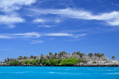 Santa Fe (Galapagos, Equateur) - IIot dans Barrington Bay (eaux turquoises)(VO-26-0162)