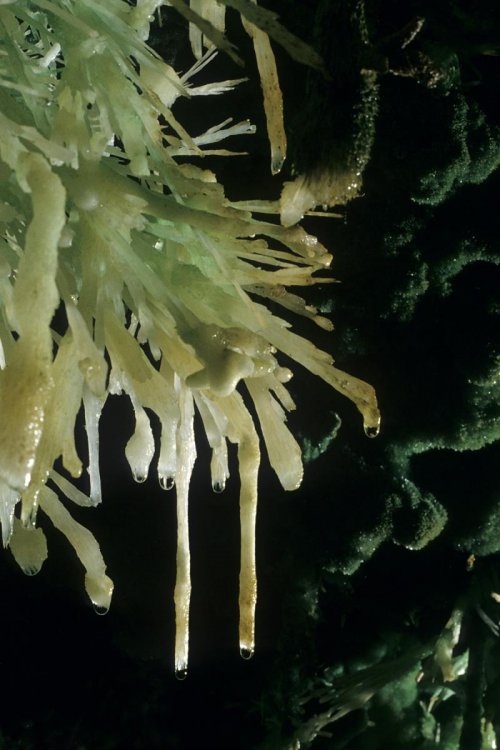 Bouquet d'aragonite verte(spe-03149)