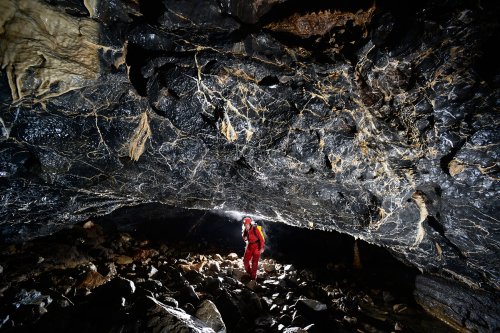 Nova Amaterska Cave (Tchéquie, Moravie, Parc National de Podiji)- Galerie principale dans les calcaires dévoniens noirs avec des fractures remplies de calcite blanche (SP-13-0875)