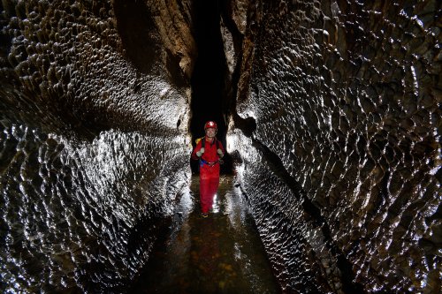 Rudické Propadani - Coups de gouges (ou cupules) dus à l'action des eaux courantes sur les parois des galeries (la partie la plus large et la plus creuse est du côté amont. Elles traduisent généralement un fonctionnement en conduite forcée(SP-13-0766)