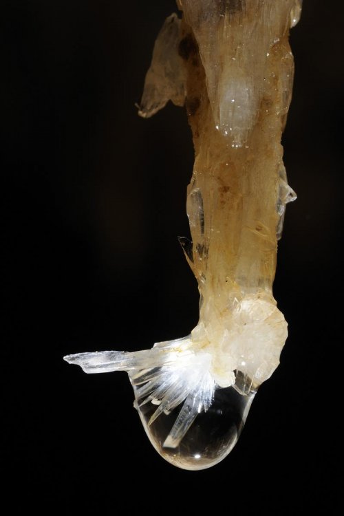 Grotte des Vents d'Anges (Aude) : Goutte d'eau au bout d'une stalactite avec cristaux de calcite(SPE 09-0823)