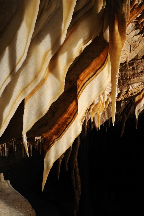 Blue Spring Cave (Tennessee) - Draperies (SPE 09-0442)