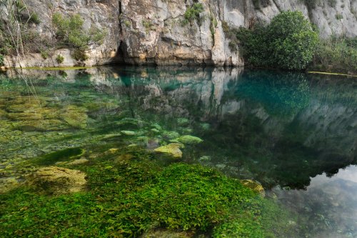 Source karstiques de Fontestramar (Pyrénées Orientales)(HY-12-0013)