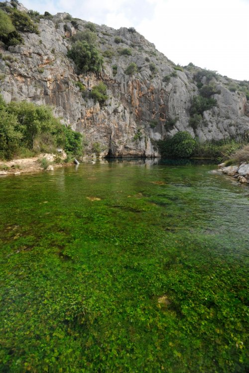 Source karstique de Fontestramar (Pyrénées Orientales)(HY-12-0014)