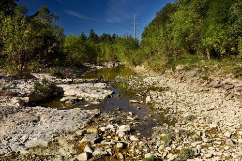 Pertes diffuses du Terrieu dans le karst en aval de Tréviers (Hérault)(HY-14-0028)