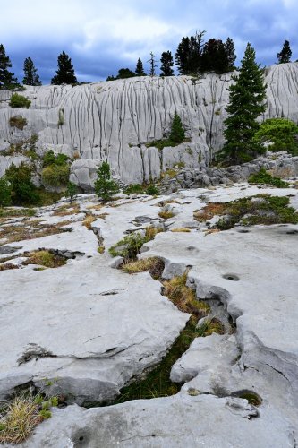 Arres d'Anie (Pierre Saint-Martin, Pyrénées Atlantiques) - Rigole sur une dalle de lapiaz(HY-21-0139)