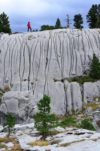 Arres d'Anie (Pierre Saint-Martin, Pyrénées Atlantiques) - Rigoles verticales sur une petite falaise(HY-21-0147)