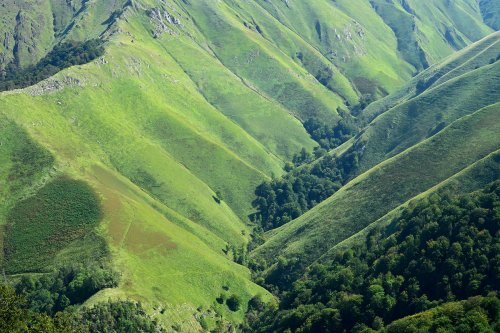 Grotte d'Harpéa (Pyrénées-Atlantiques) - Détail d'un vallon de la montagne au dessus du village d'Esterançuby(HY-25-0076)