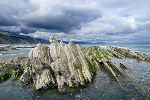 Flysch de Zumaia (Espagne) - Strates de flysch beige émergeant de la mer avec mouette perchée (HY-25-0162)