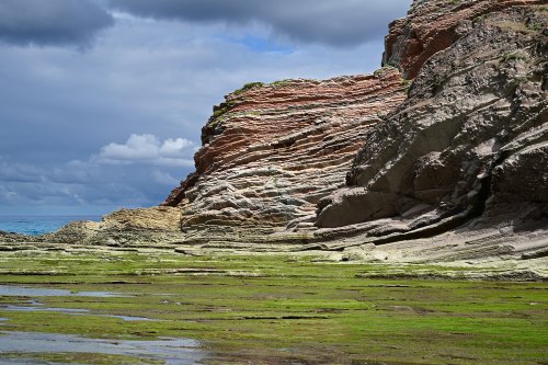 Flysch de Zumaia (Espagne) - Crique avec algues vertes et falaises rouges en arrière plan(HY-25-0170)