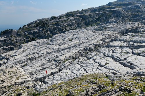 Arres d'Anie (Pierre Saint-Martin, Pyrénées Atlantiques) - Vue d'ensemble du lapiaz(MO-21-0037)