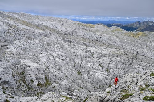 Arres d'Anie (Pierre Saint-Martin, Pyrénées Atlantiques) - Vue d'ensemble des lapiaz des Arres d'Anie avec randonneur premier plan(MO-25-0037)