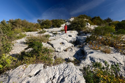 Pic Saint Loup (Hérault) - Lapiaz sur la crête ouest(RR-14-0038)