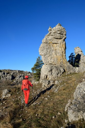 Parc National des Cévennes (Lozère, France) - Causse Méjean - Site ruiniforme de Nîmes-le-Vieux : rocher de dolomies grises du Bathonien(RR-20-0130)