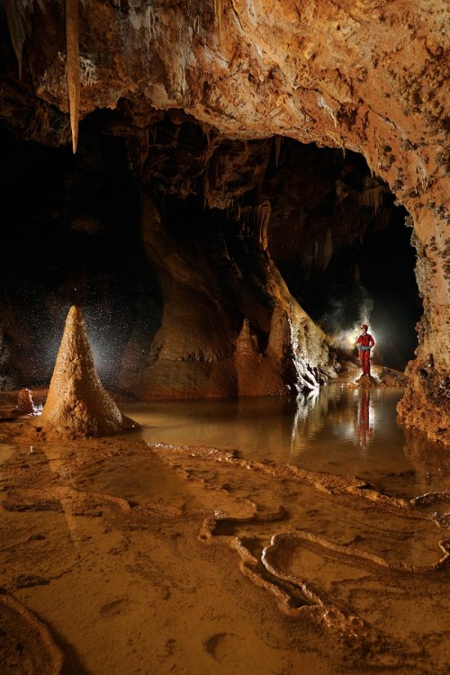 Grotte de Vitalis (Hérault)- Galerie avec lac, gours et grande stalagmite(SP-08-0477)