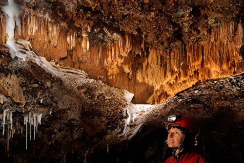 Grotte des Vents d'Anges (Aude) : Spéléo regardant des baguettes de gour ("poolfingers") perchées en hauteur(SP-08-0736)