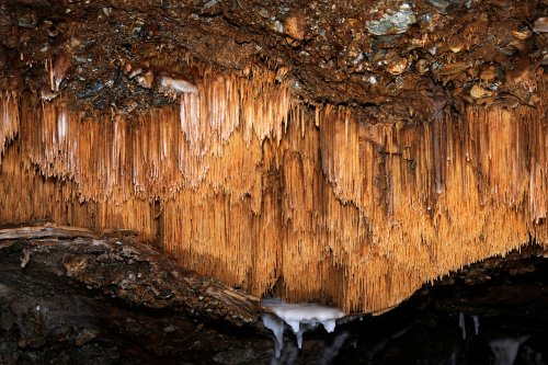 Grotte des Vents d'Anges (Aude) : Baguettes de gour ("poolfingers") perchées en hauteur(SP-08-0742)