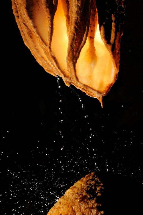 Grotte des Vents d'Anges (Aude) - eaux coulant sur de petites draperies en forme d'oreilles(SP-08-0759)