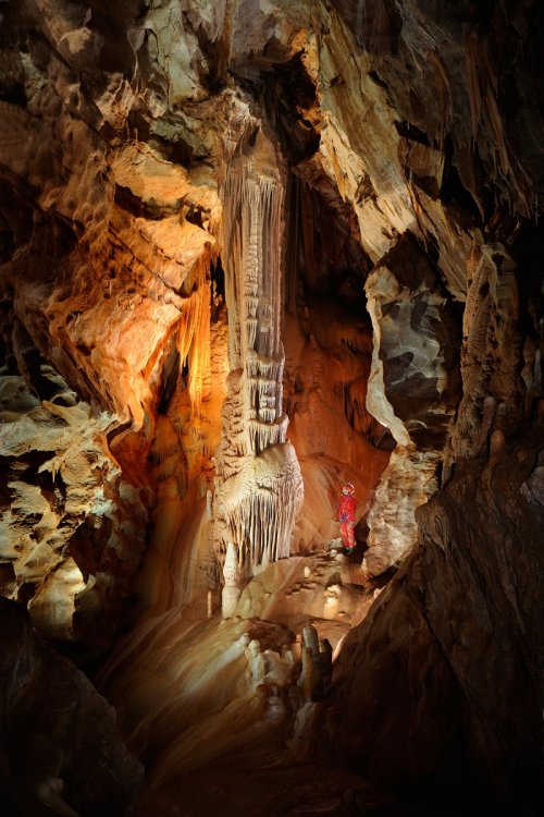 Grotte des Ecossaises (Hérault) - Grande colonne(SP-08-1026)