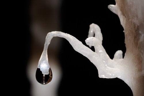 Grotte des Canalettes (Pyrénées Orientales)- Goutte d'eau au bout d'une petite excentrique(SP-09-0032)