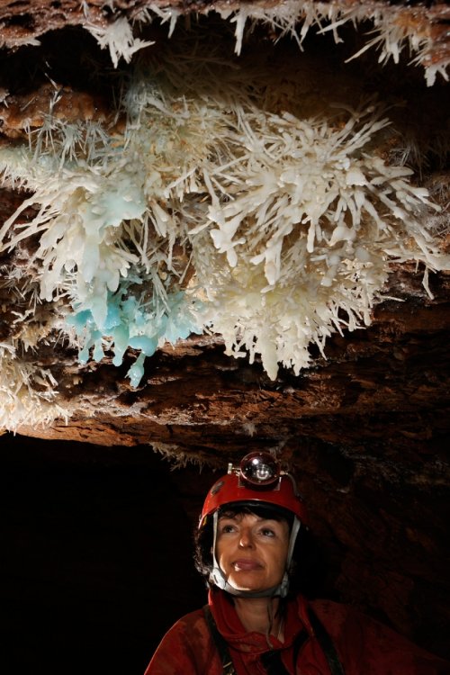 Aven des Crozes (Hérault) - Spéléologue regardant un bouquet d'aragonite au plafond(SP-09-0677)