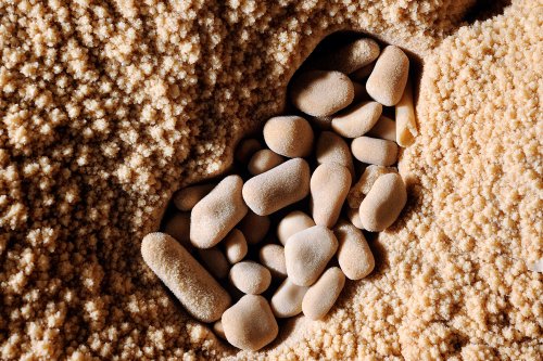 Grotte des Ecossaises (Hérault) - Perles des cavernes allongées au fond d'un petit gour cristallisé(SP-09-0732)
